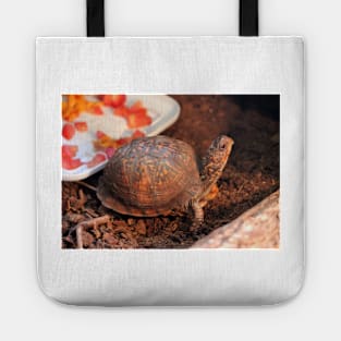 Pampered Turtle Tote