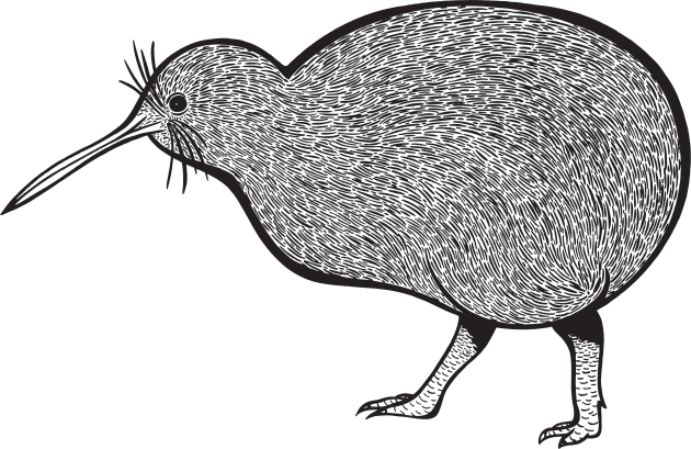 Kiwi Bird - detailed animal drawing Kids T-Shirt by Green Paladin