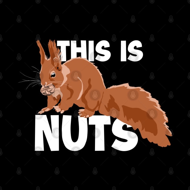 This Is Nuts Japanese Fox Eastern Gray Squirrel by GraphicsLab