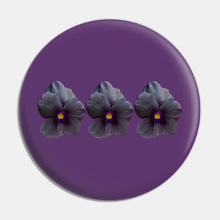 Three Black Viola Flowers Floral Photo Pin