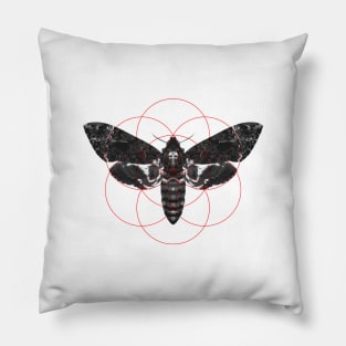 Sacred Death's-head Hawkmoth Pillow