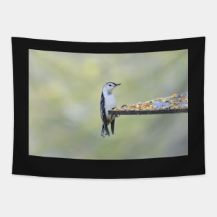 Nuthatch Tapestry