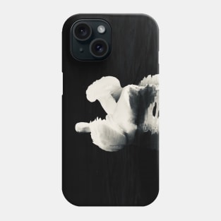 Swan 1 / Swiss Artwork Photography Phone Case