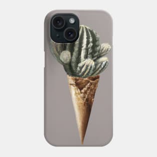 Cactus Ice Cream Phone Case