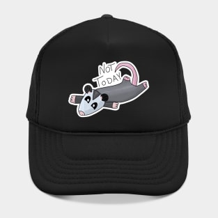 Not Today Opossum Hat