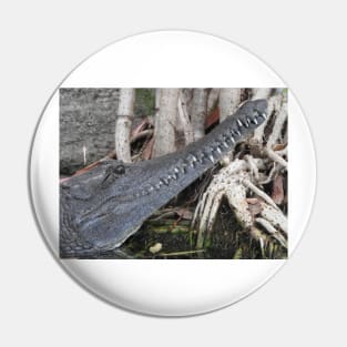 Freshwater Crocodile Pin