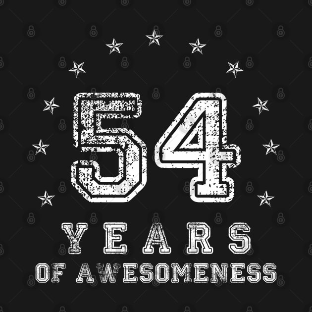 Vintage 54 years of awesomeness by opippi