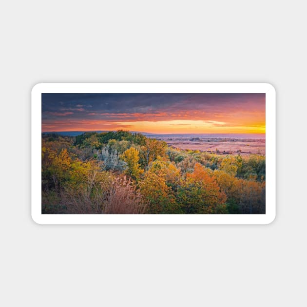 Colorful autumnal landscape Magnet by psychoshadow