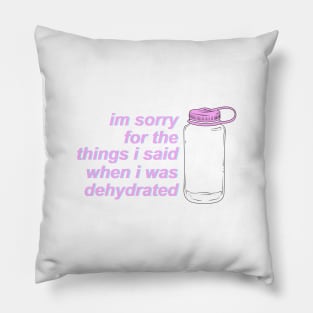 I'm Sorry For the Things I Said When I Was Dehydrated Pillow