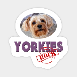 Yorkies Rock! Magnet