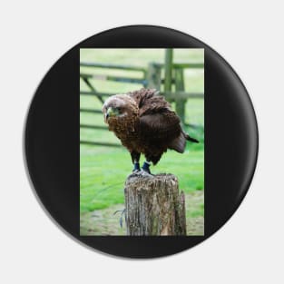 Bateleur Eagle Pin