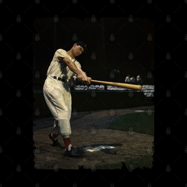 Ted Williams in Boston Red Sox by PESTA PORA