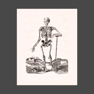 Skeleton Antique Anatomy T-Shirt