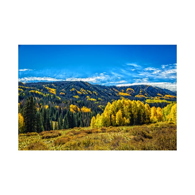 Cumbres and Toltec Narrow Gauge Railroad by Gestalt Imagery