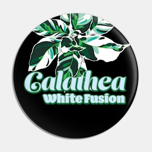 Calathea White Fusion Pin