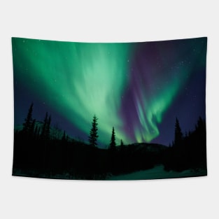 Alaskan Northern Lights Tapestry