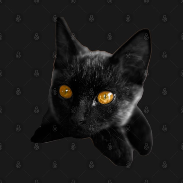 black cat eyes by rickylabellevie