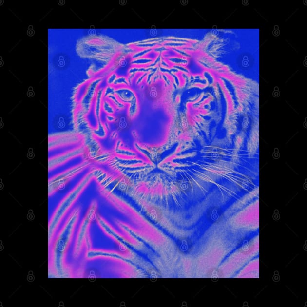 White Tiger from India - Pink colour by The Black Panther