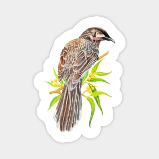 Red Wattlebird - Australian Bird Magnet