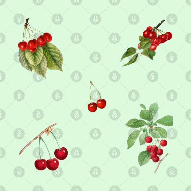 Vintage Cherry Pattern Retro Collection by Yourfavshop600