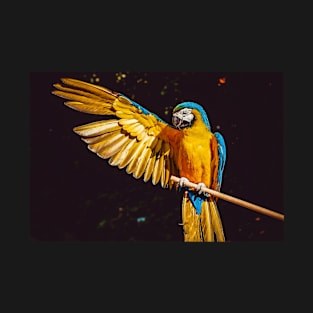 Blue-and-yellow macaw T-Shirt