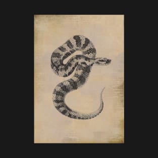 Vintage snake reptile illustration T-Shirt