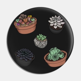 Cute Succulent Sticker Set 2 - Lithops, Ghost Plant, Heart Plant, Black Prince, Greenovia Rose Succulent Pin