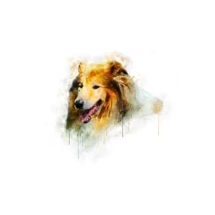 Rough Collie / Long-haired Collie watercolor T-Shirt