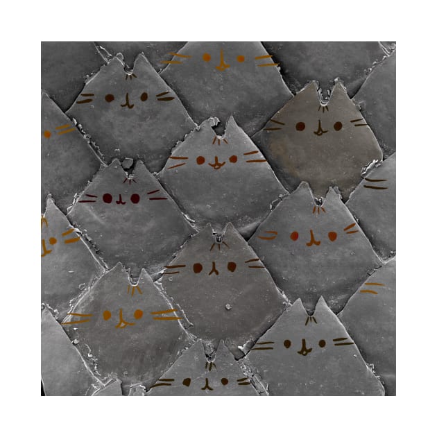 Cats from Lizard Scales by DiatomsATTACK