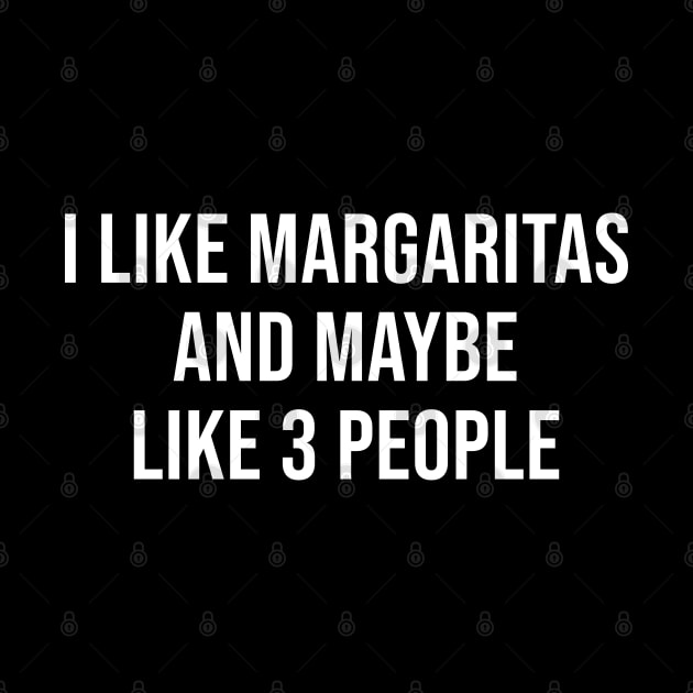 I Like Margaritas And Maybe 3 People by newledesigns