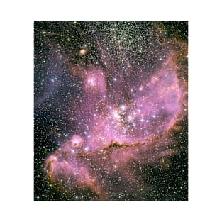 Star Cluster NGC 346 T-Shirt