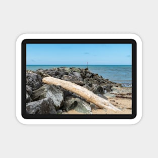 Aberaeron Beach - Rocks & Large Drift Wood Log Magnet