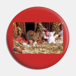 Winter mouse in a christmas house Pin