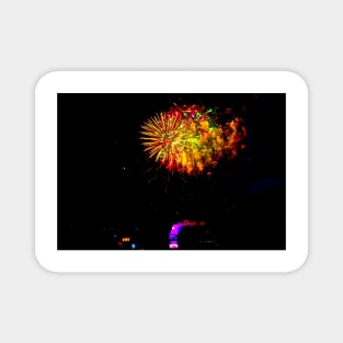 rli fireworks Magnet