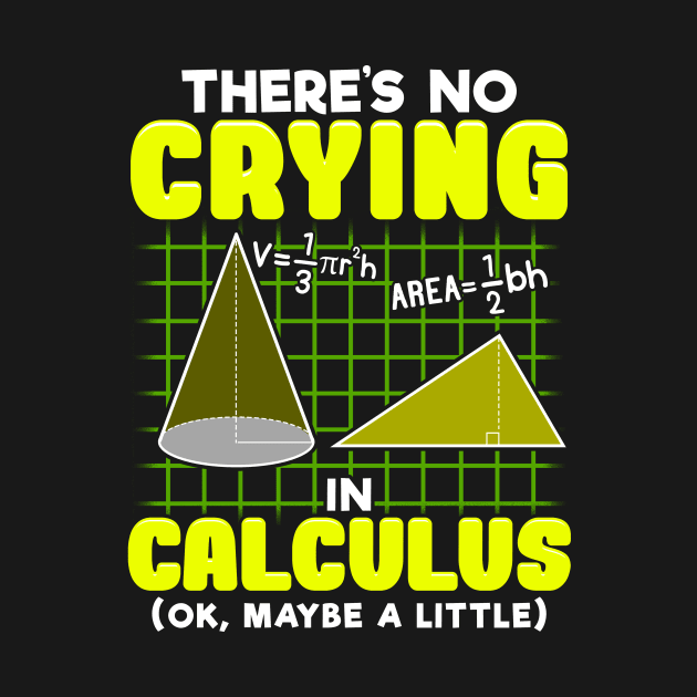There's No Crying In Calculus (Ok, Maybe a Little) by theperfectpresents