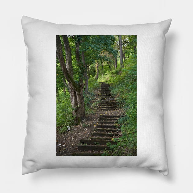 Old stairs in the forest Pillow by naturalis