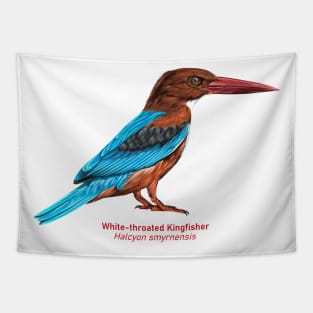 White-throated kingfisher | Halcyon smyrnensis Tapestry