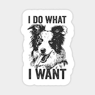 Border Collie Funny Dog I Do What I Want Magnet