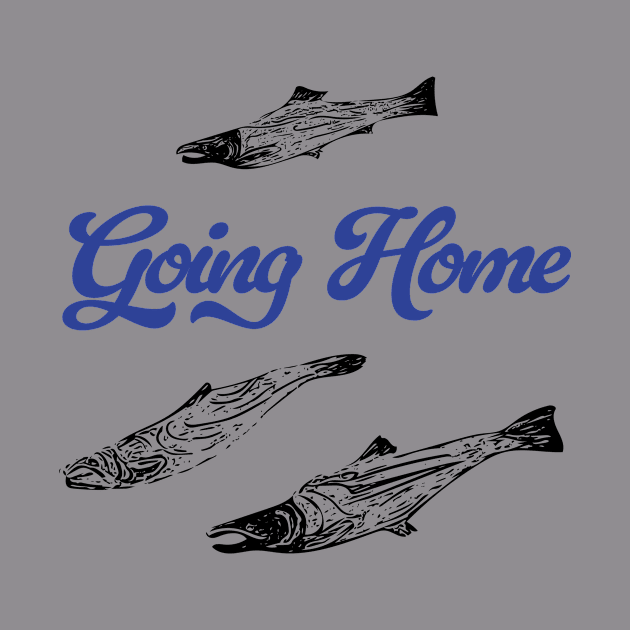 Sockeye Salmon - Going Home by Cal Kimola Brown