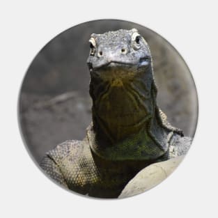 Komodo Dragon Pin