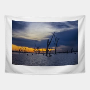 Lake Mulwala, Yarrawonga, Victoria, Australia. Tapestry