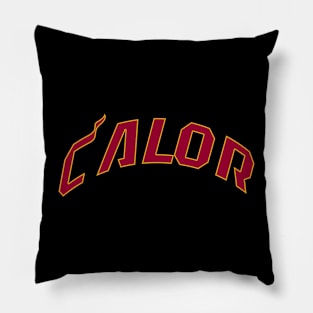 Miami Heat Calor español Pillow