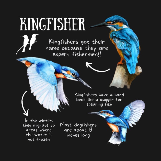 Animal Facts - Kingfisher by Animal Facts and Trivias