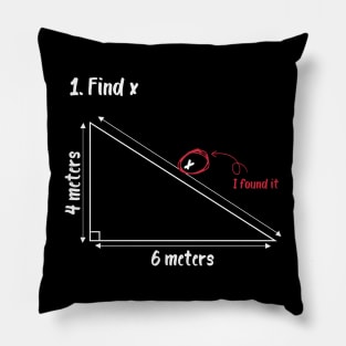 find x i found it Funny Math Pillow