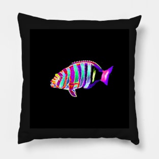 Harlequin Tusk Wrasse Fish Pillow