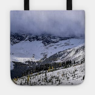 Mountain snowfall. Tote