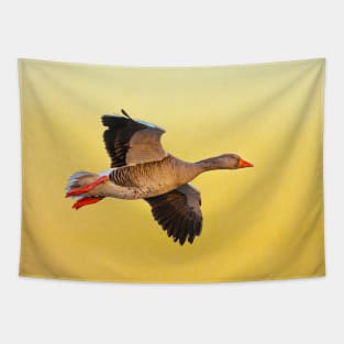 Greylag goose sunset Tapestry