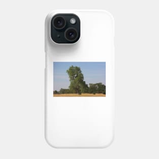 Kansas Country  Tree in a Pasture Phone Case