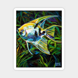 Colorful Angelfish Painting by Robert Phelps Magnet