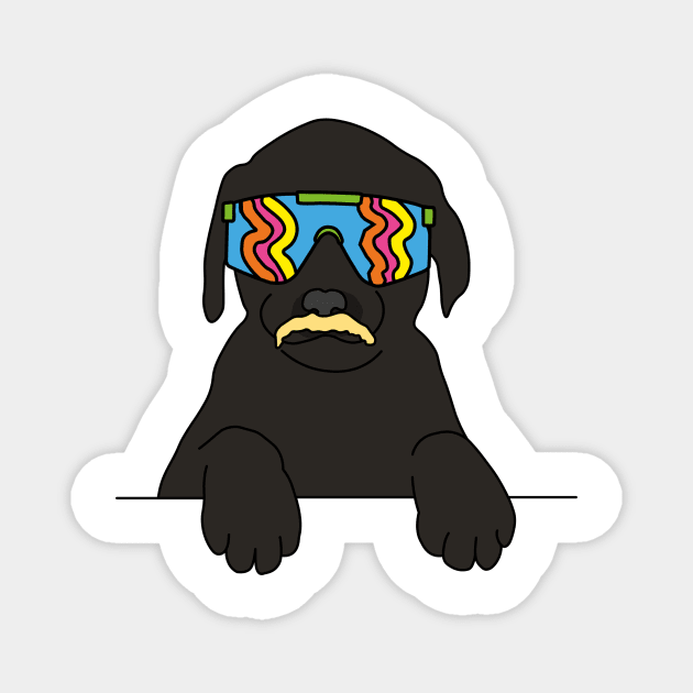 Black labrador Dog with moustache wearing 80's sunglasses Magnet by Captain-Jackson